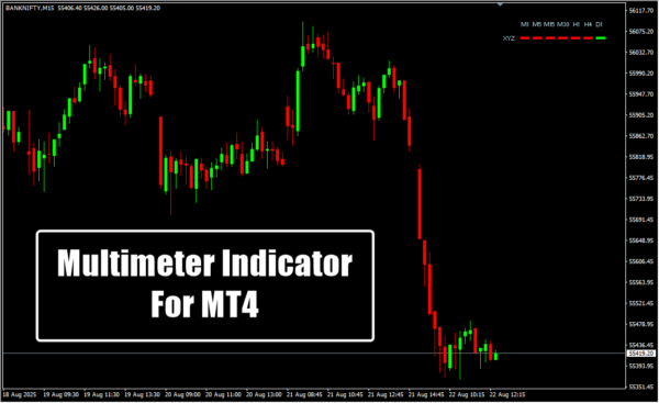 Multimeter Indicator For MT4