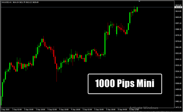 1000 Pips Mini