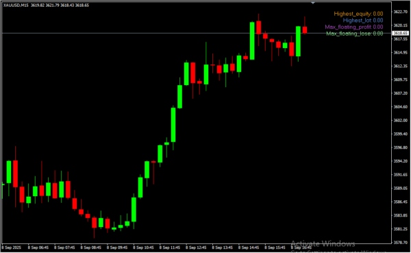 4 Info Indicator 2