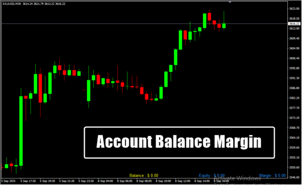 Account Balance Margin
