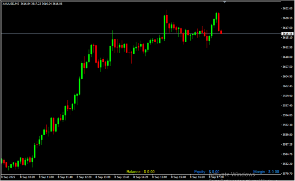 Account Balance Margin 2
