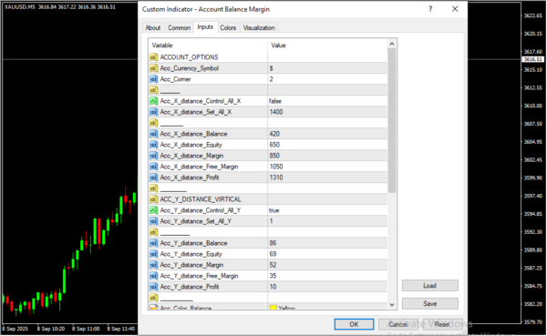 Account Balance Margin Inputs