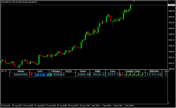 BID View 2