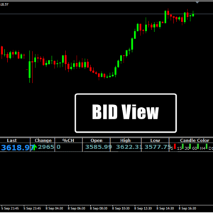 BID View