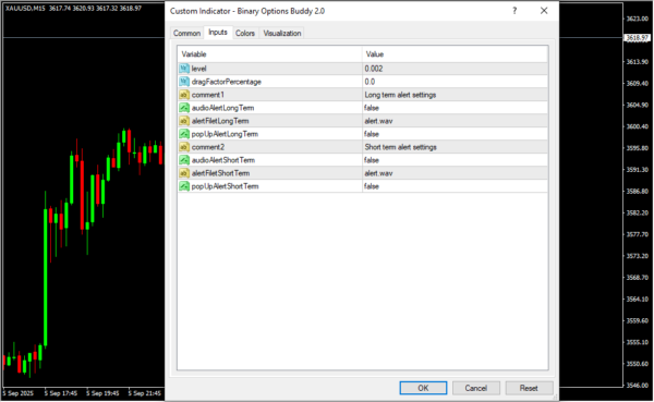 Binary Options Buddy 2.0 Inputs