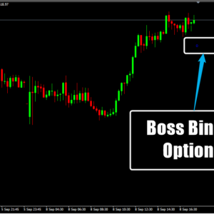 Boss Binary Options