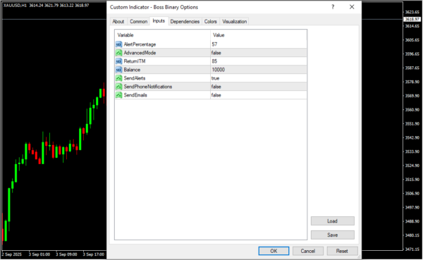 Boss Binary Options Inputs