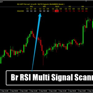 Br RSI Multi Signal Scanner