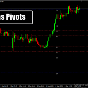 Cams Pivots