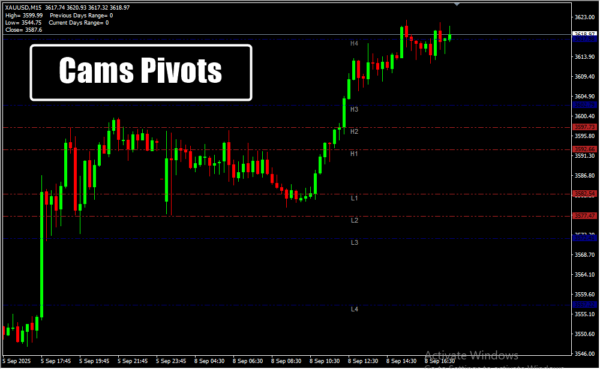 Cams Pivots