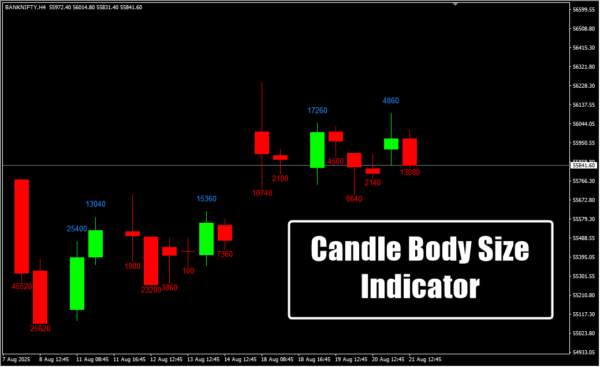 Candle Body Size Indicator H4