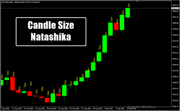 Candle Size Natashika