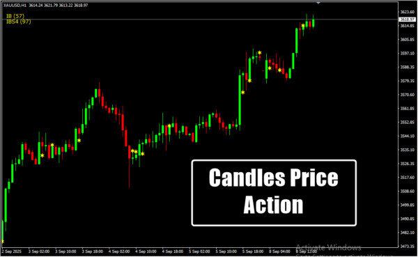 Candles Price Action