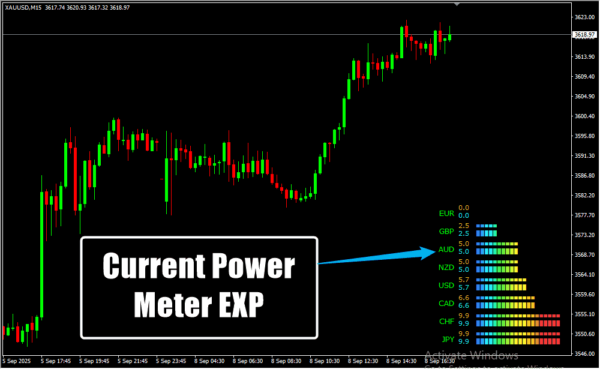 Current Power Meter EXP Inputs