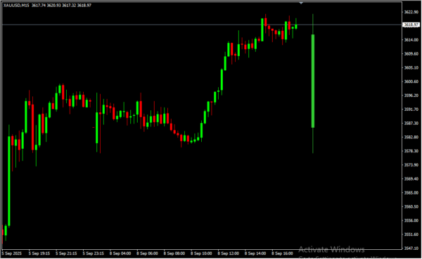 Daily Candle - Image 3