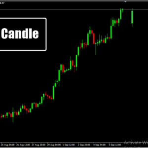Daily Candle