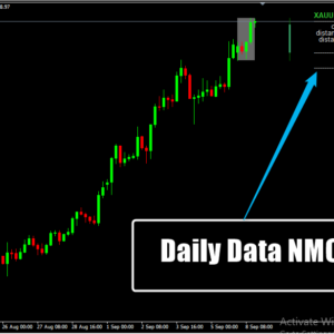 Daily Data NMC