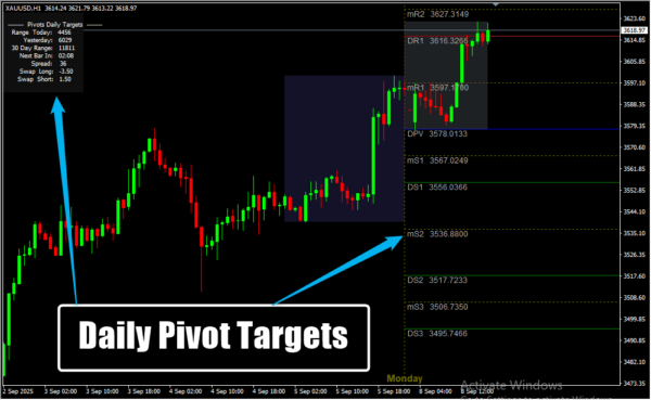 Daily Pivot Targets