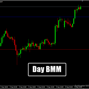 Day Bmm