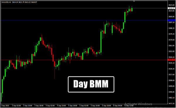 Day Bmm