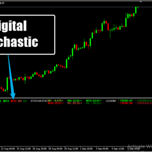 Digital Stochastic