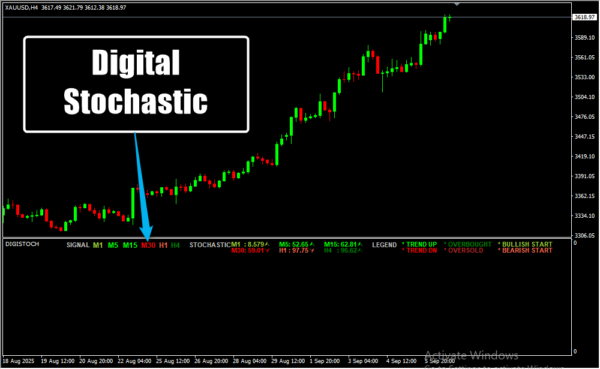 Digital Stochastic