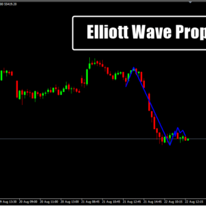 Elliott Wave Prophet