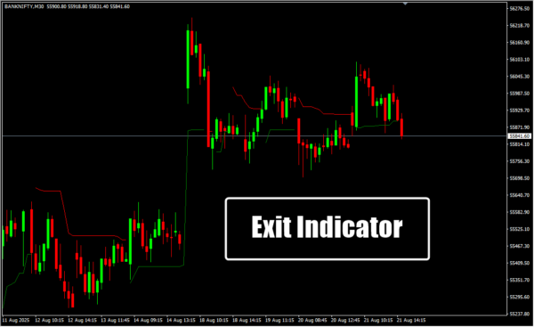 Exit Indicator