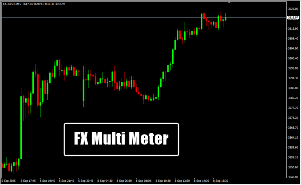 FX Multi Meter