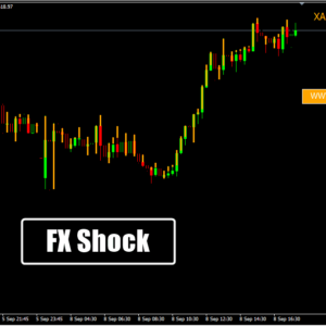 FX Shock DT