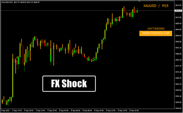 FX Shock DT