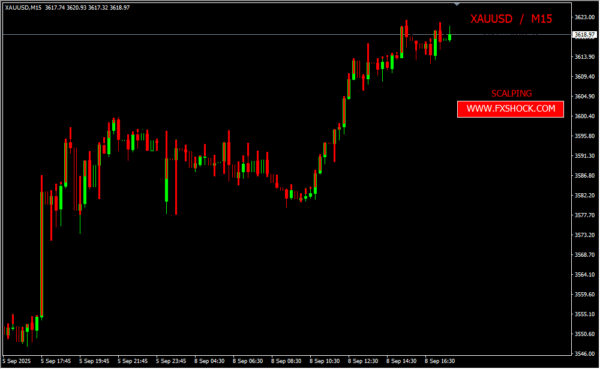 FX Shock SC