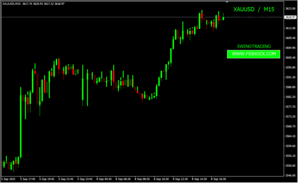 FX Shock SW