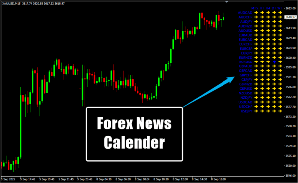 Forex News Calender