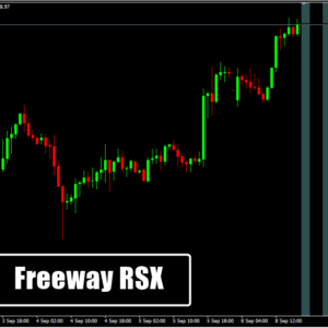 Freeway RSX