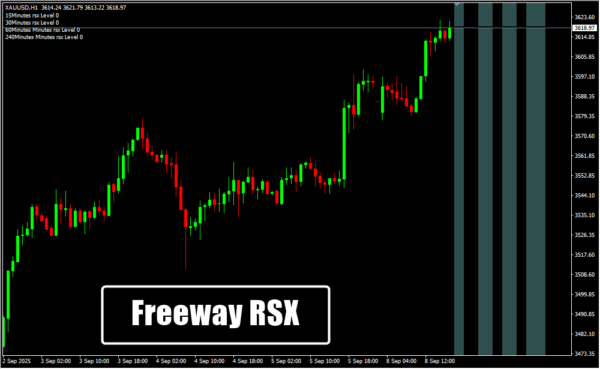 Freeway RSX