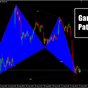 Gartley Pattern