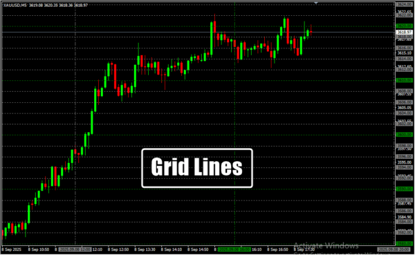Grid Lines