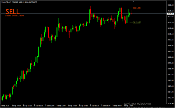JJN Scalper 2