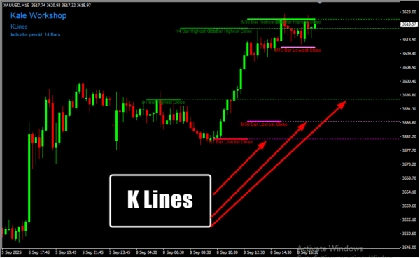 K Lines