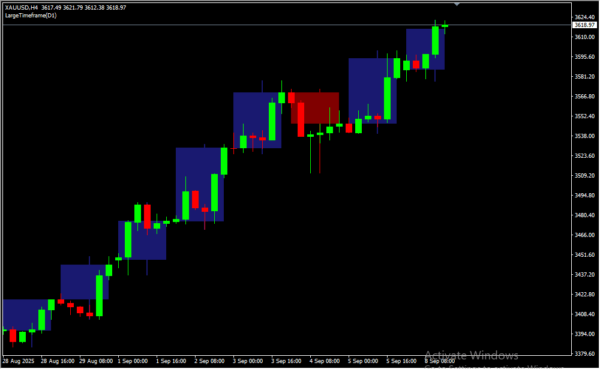 Large Time Frame 2