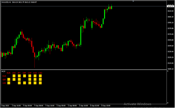 MCP Indicator 2