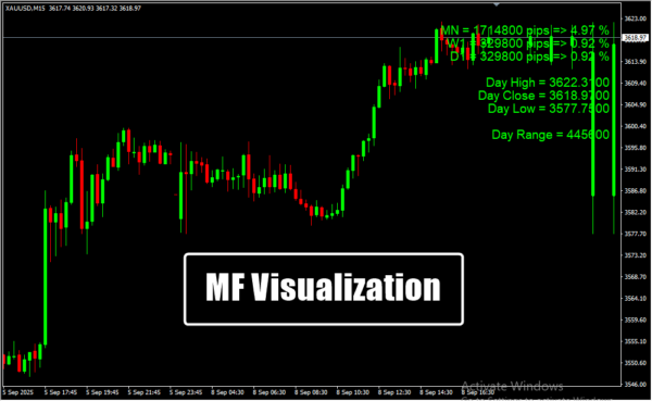 MF Visualization