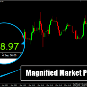 Magnified Market Price