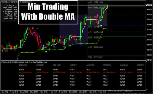 Min Trading With Double MACD