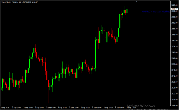 Mmpro DOT Market 2