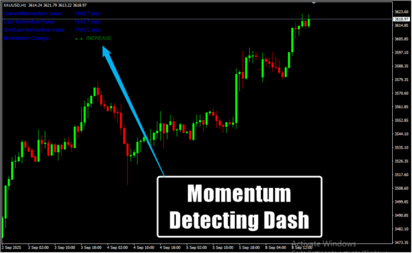 Momentum Detecting Dash