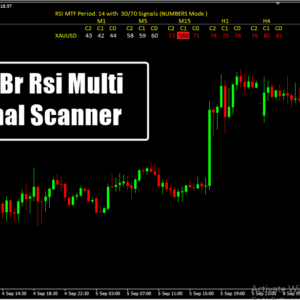 Mt4 Br Rsi Multi Signal Scanner