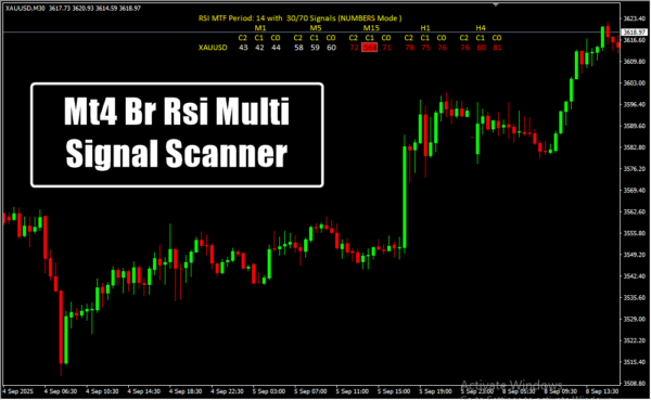 Mt4 Br Rsi Multi Signal Scanner