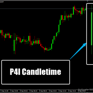 P4l Candletime